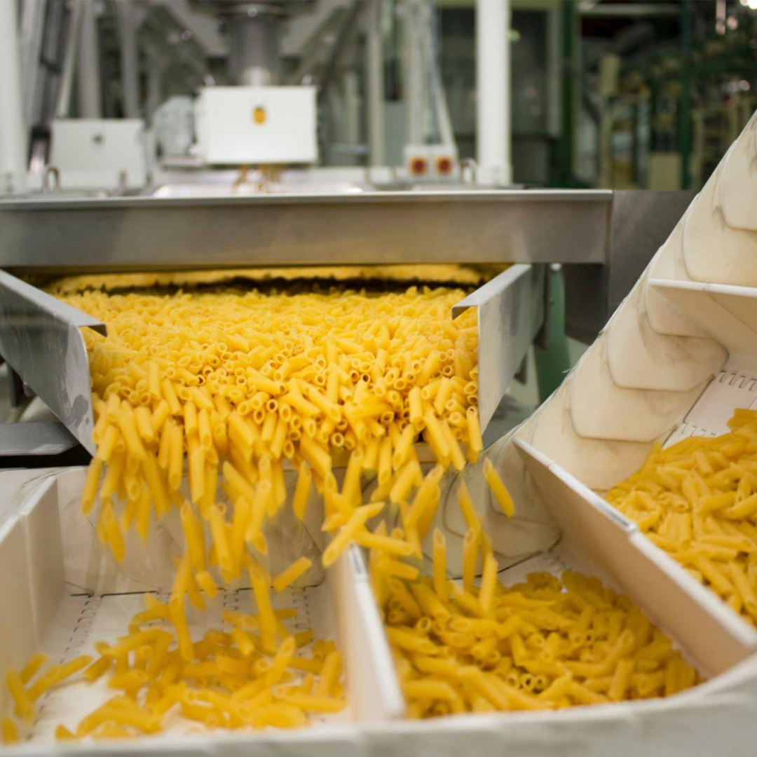 termi pasta